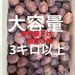 岡山県産 ぶどう 家庭用 訳ありのサムネイル