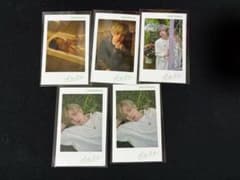 うらたぬき ランダムミニフォトカード チェキ　5枚セット