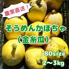 そうめんかぼちゃ（金糸瓜）2〜3kgのサムネイル