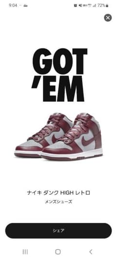 NIKE DUNK HI RETRO【DARK BEETROOT】のサムネイル