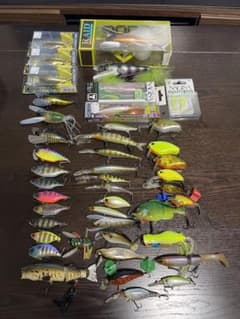 ブラックバス引退のサムネイル