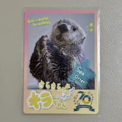 鳥羽水族館 コレクションカード キラ - メルカリ