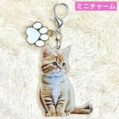 차 호랑이 고양이 미니 매력 고양이 열쇠 고리 미니 사이즈 차 호랑이 흰색 고양이 스코티시