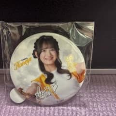 福岡ソフトバンクホークス ハニーズ 若鷹ガチャ 缶バッジ SOU - メルカリ