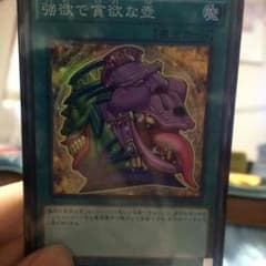 強欲で貪欲な壺のサムネイル