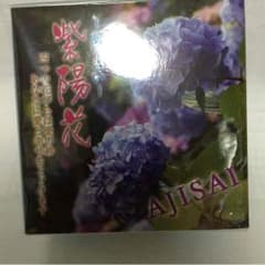 アジサイの香水のサムネイル