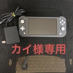 Nintendo Switch NINTENDO SWITCH LITE グレーのサムネイル