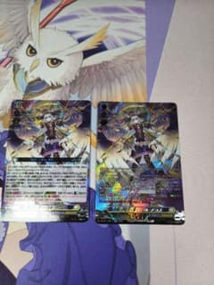 決意と罪を抱く者リィエル_アニムス SR RRR セット - メルカリ