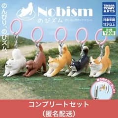 Nobism 노비 줌 메지루시 가챠 마스코트 완성 묶음 판매