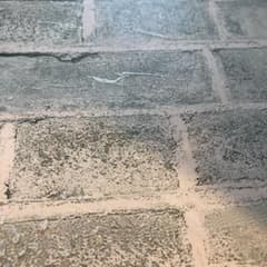 KT様専用のサムネイル