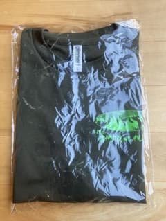 第17回信州戸隠トレイルランレース　参加賞Tシャツ　Lサイズのサムネイル