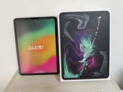 iPad Pro 11インチ 第1世代 256GB スペースグレイ Wi-Fiのサムネイル