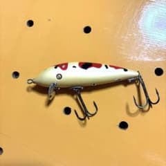 道楽　トップウォーターのサムネイル