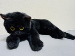 童心 DOUSIN 黒猫ぬいぐるみ 日本製 - メルカリ