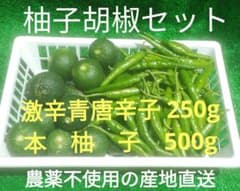 柚子胡椒セット❗激辛青唐辛子＆本柚子 - メルカリ