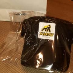 早い者勝ち！値下げ交渉しません返事しません。のサムネイル
