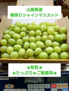山梨県産　朝採りシャインマスカット　ご家庭用のサムネイル