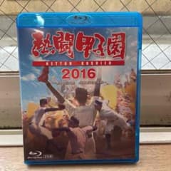 熱闘甲子園2016〈2枚組〉のサムネイル