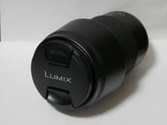Panasonic LUMIX G VARIO 100-300F4.0-5.6のサムネイル