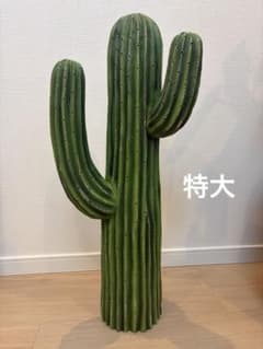 ダルトン カクタス サボテン 置物 オブジェ インテリア 特大 - メルカリ