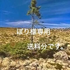 ぽり様専用です。のサムネイル