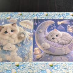未使用 可愛い猫ちゃんパネル生地2枚＆薔薇.レース柄生地 - メルカリ