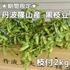 [10月25日まで！] 産地直送 丹波篠山 黒枝豆 枝付2kgのサムネイル