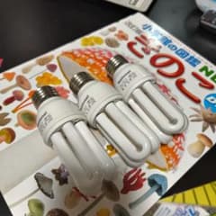 national 電球 EFD13UEL - メルカリ