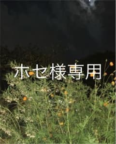 SEVENTEEN トレカのサムネイル