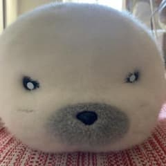 소년 아시베 참깨 봉제 인형
