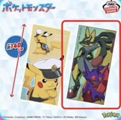 ポケットモンスター ビッグマイクロファイバータオル