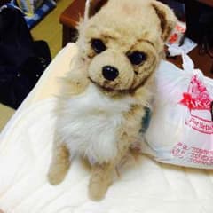 ポン様専用ページのサムネイル