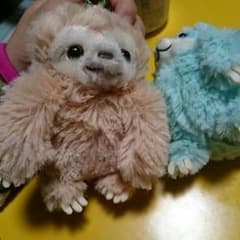 NARIAさま専用 ナマケモノのみっけのサムネイル