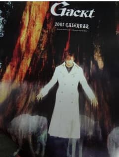 【ご本人サイズ】pillers GACKT カレンダー着用　ロングトレンチコート 希少】pillers GACKT カレンダー着用 ロングトレンチコート - メルカリ