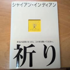 シャイアン・インディアン 祈り (ポケット・オラクル・シリーズ)のサムネイル