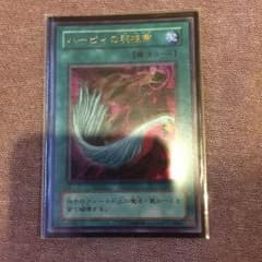 ばっさー様専用 ハーピィの羽根箒 ウルトラのサムネイル