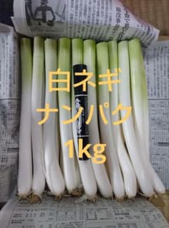鳥取県産 白ネギ 1kg ナンパクたっぷり宅急便コンパクト 長ネギ - メルカリ
