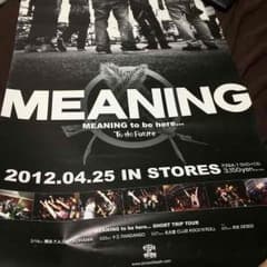 スケキヨ様 専用 MEANING ポスター、タオルのサムネイル