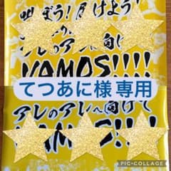 てつあに様専用のサムネイル