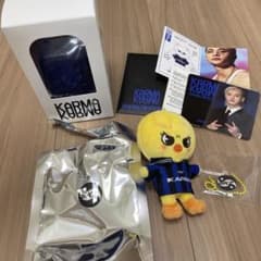 Stray Kids karma skzooのサムネイル