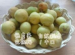 無農薬 自然栽培 完熟梅 １キロのサムネイル