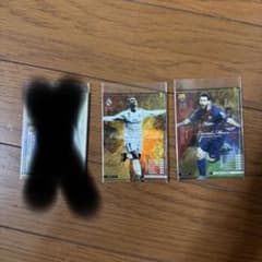 やす様専用のサムネイル