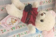 ガーリーベアぬいぐるみ タグ付きのサムネイル