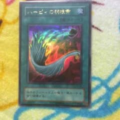 ハーピィの羽根箒 P5-02のサムネイル