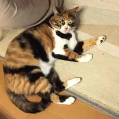 mayu様専用！のサムネイル