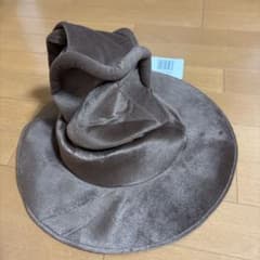 Harry Potter Sorting Hat 구분 모자
