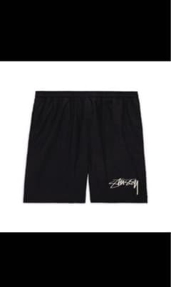 STÜSSY & NIKE WATER SHORTのサムネイル