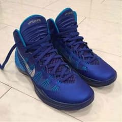 NIKE ハイパーダンクのサムネイル