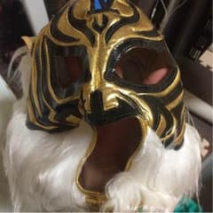 プロレスマスクのサムネイル