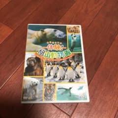 体験！旭山動物園のサムネイル